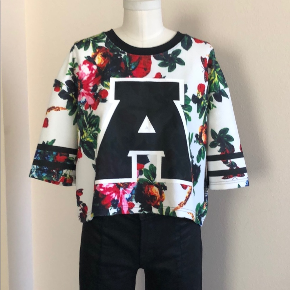 Divine Comedy - image 2